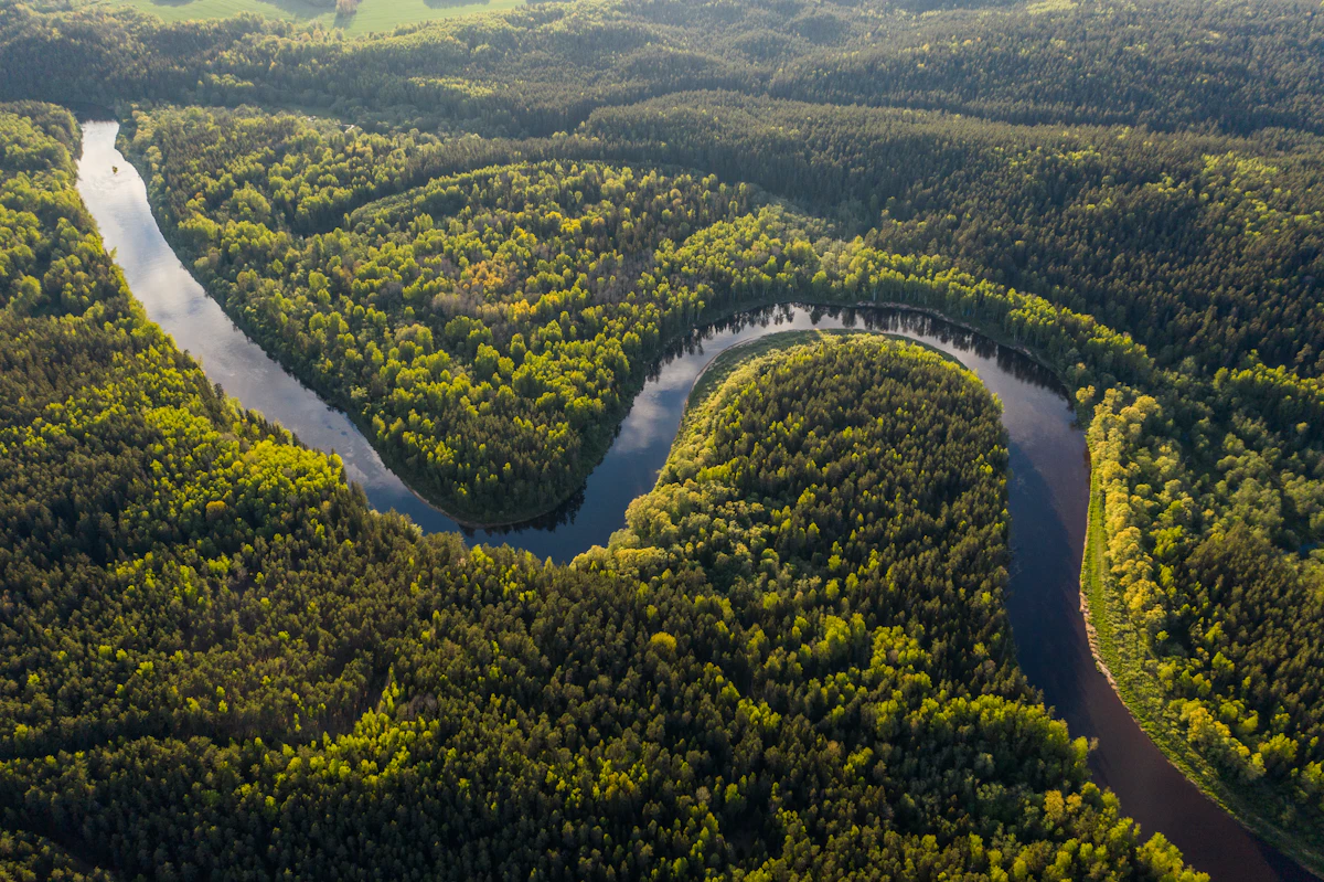 A dark river bending through green forest, seen from above